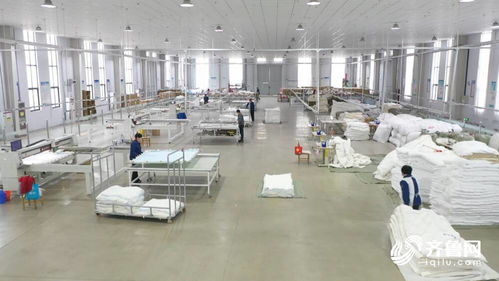 德州万企升级行动 服务专精特新媒体行与特色产业共舞